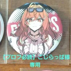 【プロフ必読】ごじらっぱ様　専用