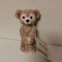 香港ディズニー　ダッフィー　マグネット　ぬいぐるみ