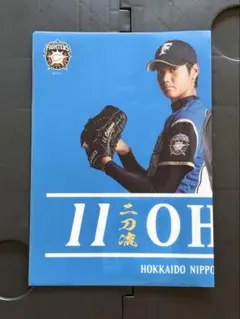 【おまけ付き】大谷翔平 二刀流 クリアファイル 観戦証明書付き 2026年最新】日本ハム 大谷 観戦証明書の人気アイテム - メルカリ