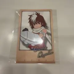 【匿名配送】テイルズ　テンペスト　カイウス　推しパシャ　テイルズ展　ミュージアム