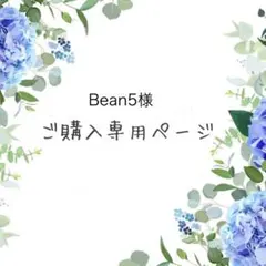 Bean5様 リクエスト 2点 まとめ商品