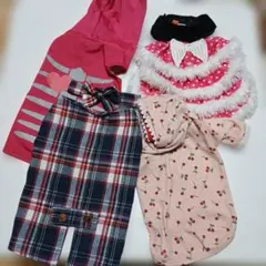 犬用チェック柄服 ボタン・リボン付き　かっぱつき