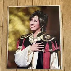 宝塚歌劇団 瀬奈じゅん 2L舞台写真 エリザベート ルキーニ - メルカリ