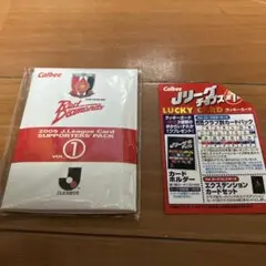 Jリーグチップス　ラッキーカード特典　カードパック　浦和レッズ