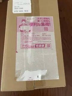 ポケモンセンタートウホクスペシャルBOX フクオカスペシャルBOX　未開封セット
