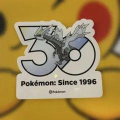 足*兵様 韓国限定 ポケモン メガフェスタ 30周年 ランダムステッカー