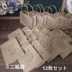 ハンドメイドミニ紙袋　クラフト英文　12枚セット