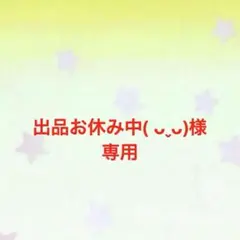 出品お休み中( ᴗˬᴗ)様専用ページ