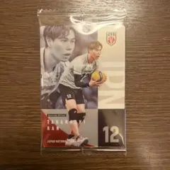 バレーボール 男子 ウエハース 2026 高橋藍