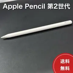 Apple Pencil 第2世代 本体 / アップルペンシル