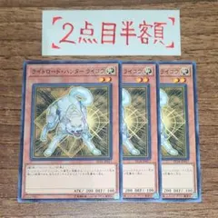 ライトロード・ハンター・ライコウ 3枚