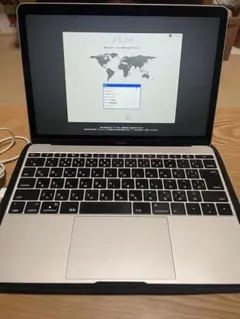 MacBook 9.1 Retina 12inch Early 2016 8GB