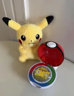 限定☆ ポケモン ポケパークカントー カメックス ピンズ ピンバッジ