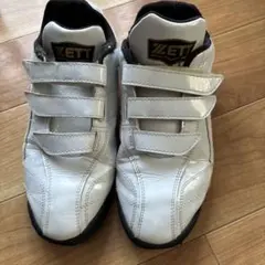 ZETT 野球 トレーニングシューズ ホワイト　25センチ