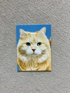 Lily様 リクエスト 2点 まとめ商品