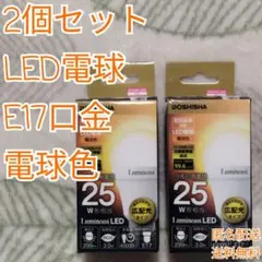 【2個セット】DOSHISHA Luminous LED電球 E17口金 電球色