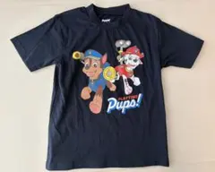 【新品】パウパトロール　半袖　保育園　110 Tシャツ　子供