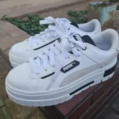 Item thumbnail for item ecc3f483-1d45-4cd7-bf40-5822cf7ea455