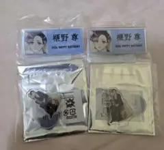 Item thumbnail for item 13ac46a6-b1d0-44c6-ad0f-96024f549831