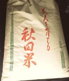 徳用袋入 入浴剤 天然湯の花 土産 湯の花　さつき物産　300g 250g お風呂 : あすつく F250S サカエ商事 その他