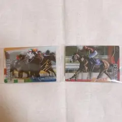 サラブレッドホースコレクション第3R チェルヴィニア リアルインパクト サイン