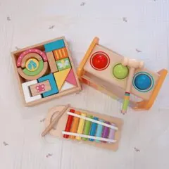 エデュテ　Hape おもちゃセット