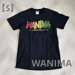 WANIMA 黒Tシャツ 【S】美品✨ワニマ　希少　レア　バックプリントブラック