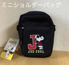 ☆新品☆ PEANUTS ミニショルダーバッグJOECOOLブラック かわいい