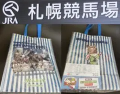 【非売品・入手困難！】2011年 第47回 札幌記念（GⅡ）記念ノベルティバッグ