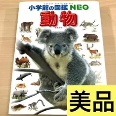 Item thumbnail for item c912c5fb-724d-46ee-b454-c99a240d87bc