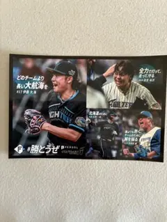 ファイターズ 記念グッズ