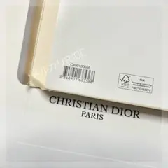 〖新品未使用〗DIOR 激レア入手困難 ༘*⋆ メタルロゴ クラッチ ポーチのサムネイル