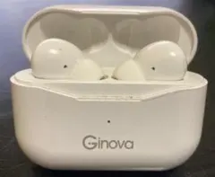 【家電】『ワイヤレスイヤホン』Ginova ワイヤレスイヤホンのサムネイル