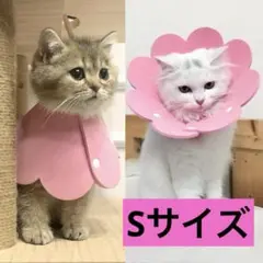 エリザベスカラー 猫用 犬用 ソフト 傷舐め防止 傷口保護 S ピンク