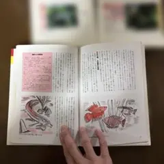 熱帯魚飼育関連書籍 3冊セットのサムネイル