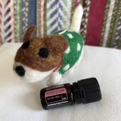 新品未使用未開封】dōTERRAウィンターグリーン 5ml - メルカリ