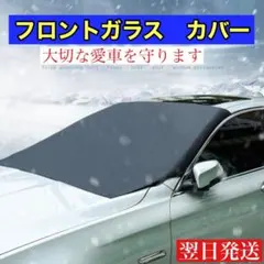 Item thumbnail for item 7e4862bd-e900-49eb-8365-3c46b7ea7ddd