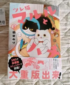 Item thumbnail for item ebc984c9-b640-4ec2-8007-6071bc0c87ee