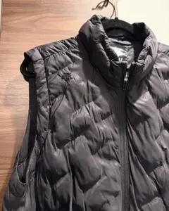 ダウンベスト メンズウェア