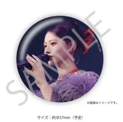 CANDY TUNE 立花琴未 生誕記念2026 G賞 缶バッジ　F