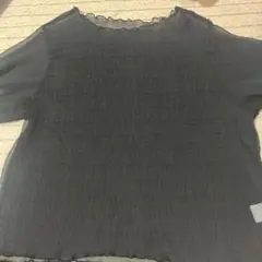 ブラックシアー半袖プリーツカットソー