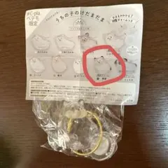 うちの子けだまだま 犬のけだまだま 限定アソート 黒柴