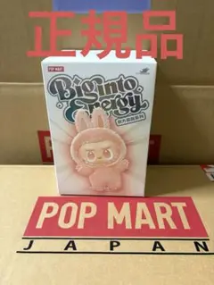 最終値下げ‼️POPMART シークレット❗️イニシャルラブブ ♡ ピンク ラブブ イニシャルラブブ PIN FOR LOVE ピンフォーラブ Q - メルカリ