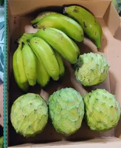 沖縄だけオリジナル！森のアイスクリーム・アテモヤ！元祖島バナナのセット！