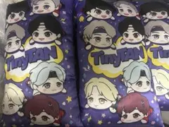未使用BTS TinyTAN寝そべりメガジャンボクッション MAGIC DOOR
