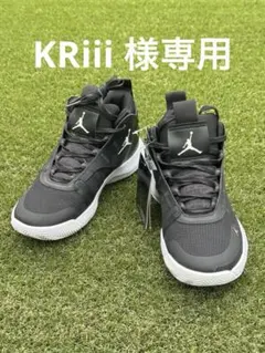 JORDAN JUMPMAN PRO 25周年記念☆28cm☆美品☆ - メルカリ