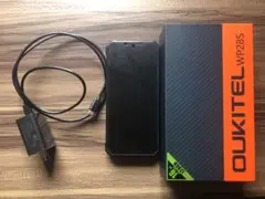 【中古品】wp28s 本体・充電器・箱付き