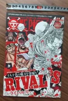 【値下可】ONE PIECE magazine　vol.14 RIVALS
