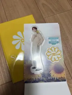 FANTASTICS sunflower 中島颯太 第二弾 アクスタ＆缶バッジ - メルカリ