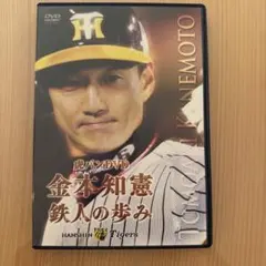 Item thumbnail for item 6c75cc16-3a9d-4652-b346-bf66ba48a602